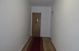 Doua case individuale, 182 utili, teren 450 mp, finisate, la cheie!