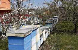 Doua case individuale, 182 utili, teren 450 mp, finisate, la cheie!