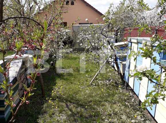 Casa de vânzare 6 camere Apahida - 39405CV | BLITZ Cluj-Napoca | Poza16