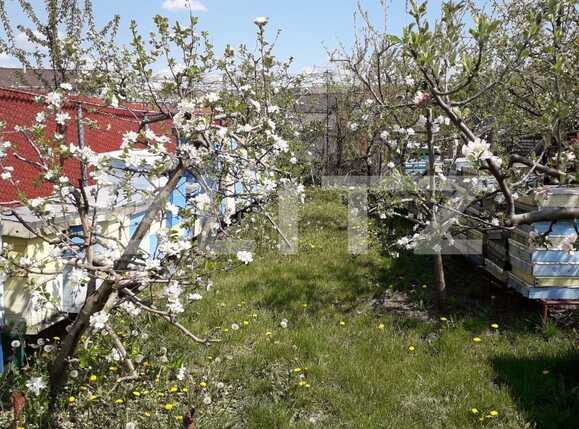 Casa de vânzare 6 camere Apahida - 39405CV | BLITZ Cluj-Napoca | Poza2