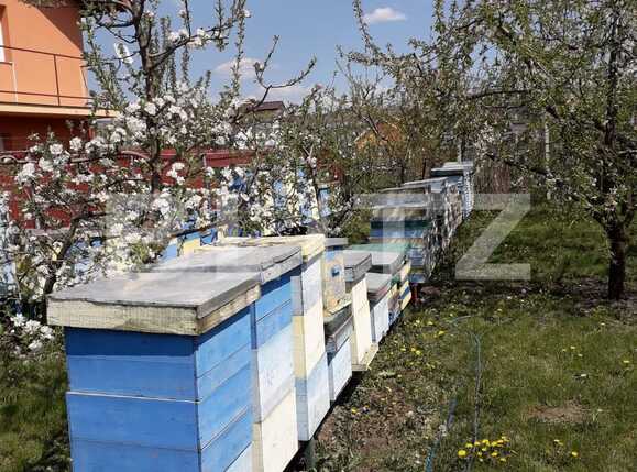 Casa de vânzare 6 camere Apahida - 39405CV | BLITZ Cluj-Napoca | Poza15