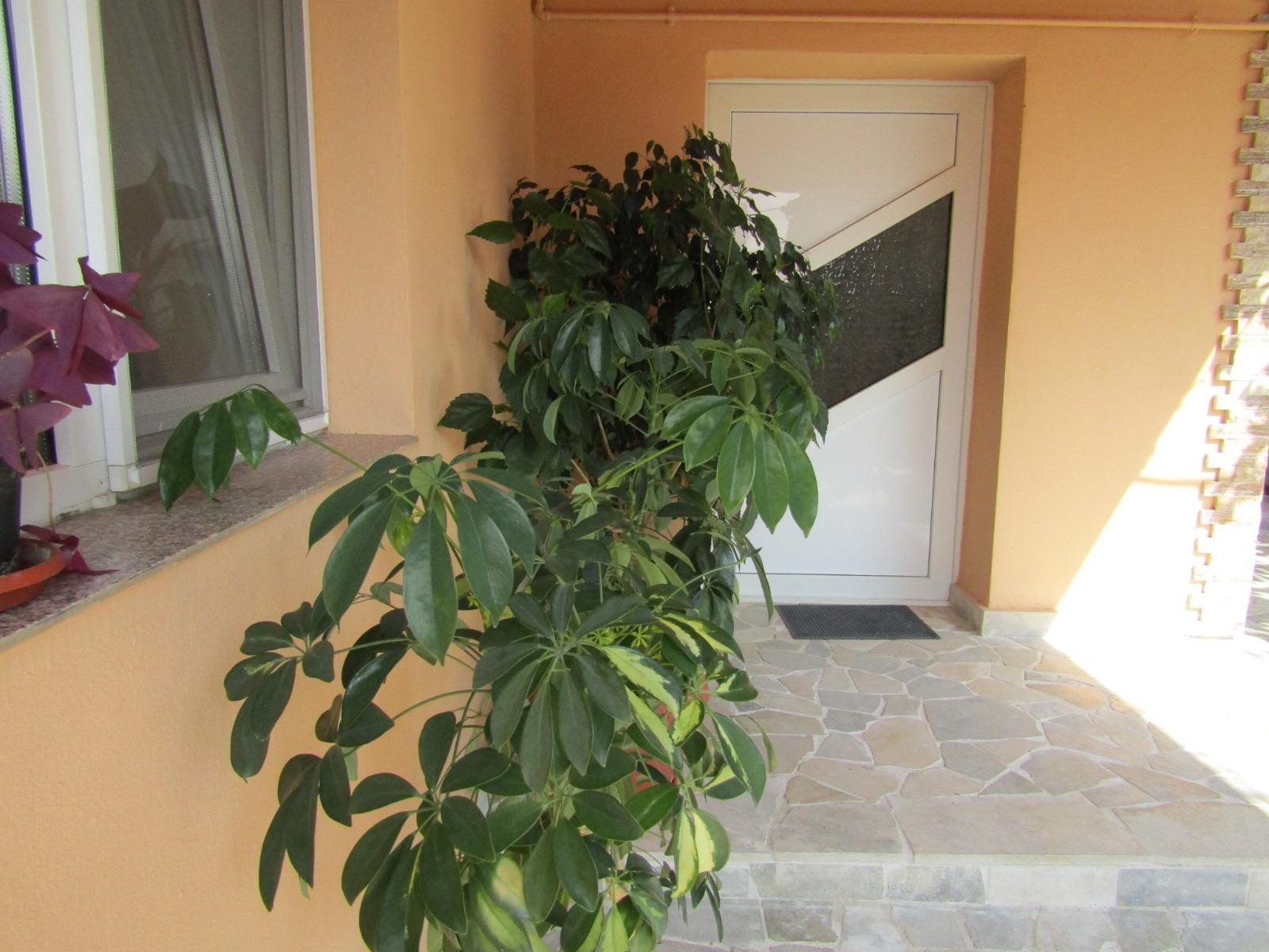 Casa de vânzare 6 camere Apahida - 39405CV | BLITZ Cluj-Napoca | Poza4