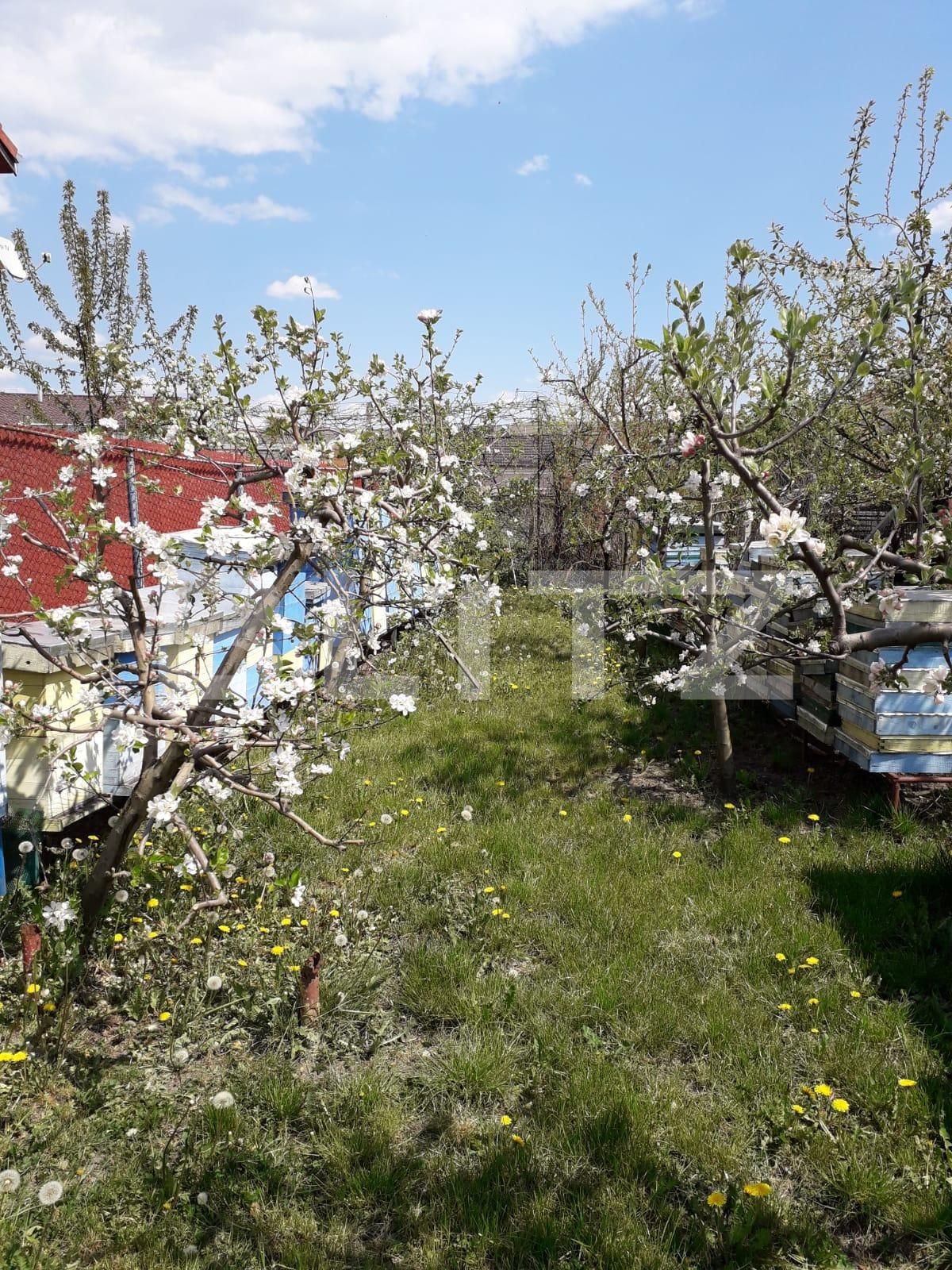 Casa de vânzare 6 camere Apahida - 39405CV | BLITZ Cluj-Napoca | Poza2