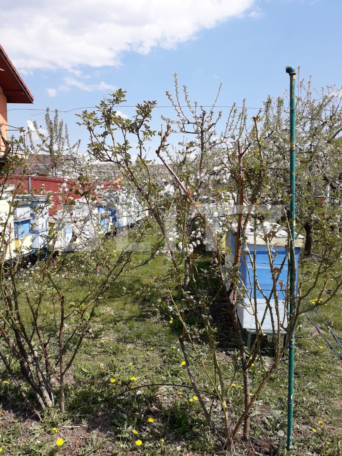 Casa de vânzare 6 camere Apahida - 39405CV | BLITZ Cluj-Napoca | Poza18