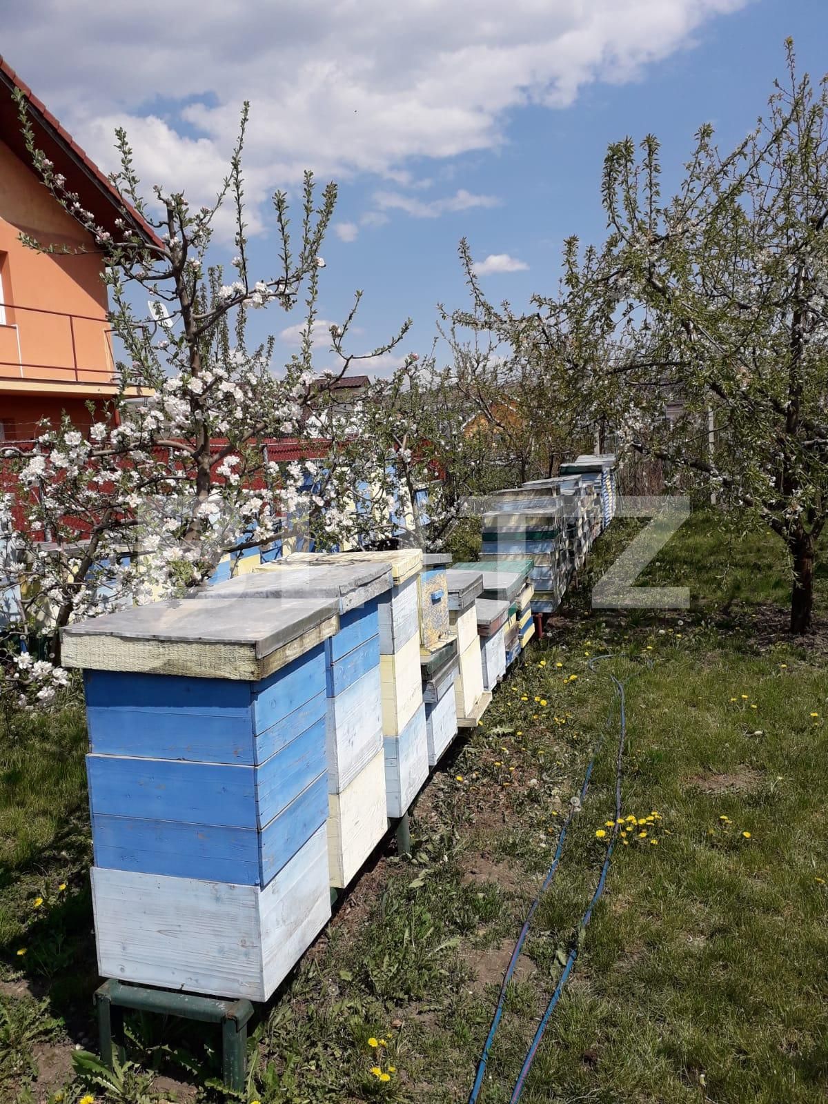 Casa de vânzare 6 camere Apahida - 39405CV | BLITZ Cluj-Napoca | Poza15