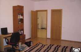 Apartament cu 2 camere 100 mp, zona Plopilor