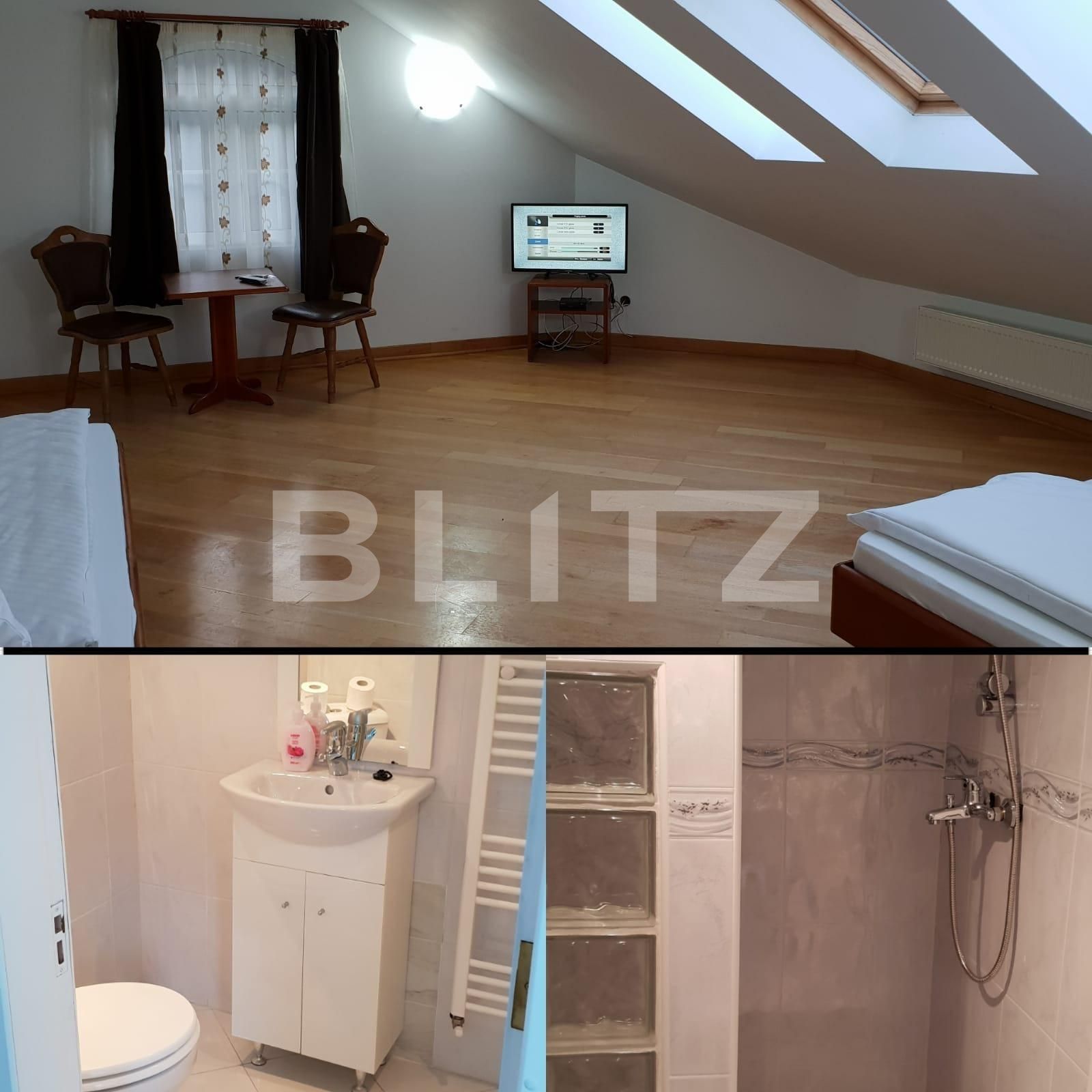 Casa de vânzare 6 camere Exterior Sud - 39423CV | BLITZ Cluj-Napoca | Poza7