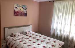 Apartament 2 camere semidecomandate, 50 mp, zona strazii Ion Luca Caragiale