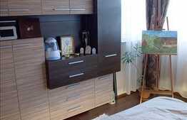 Conditii de LUX in zona Centrala!