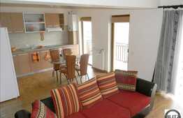 Apartament de inchiriat 2 camere pe Eftimie Murgu