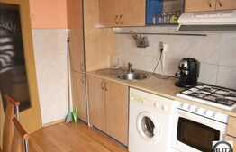 Vanzare apartament reabilitat termic pe Ariesului!