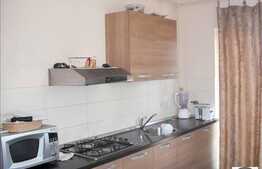 Apartament 1 camera de vanzare  si o terasa 6 mp