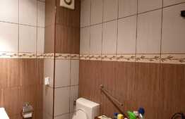 Apartament decomandat, gradina, 2 bai, 67mp, zona Eroilor!