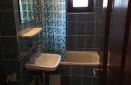 Apartament 2 camere, finisat si mobilat, zona Big Center