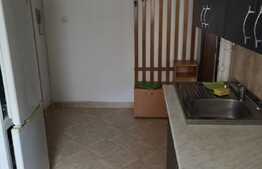 Apartament 2 camere, finisat si mobilat, zona Big Center