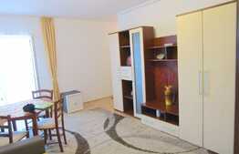 Daca vrei o garsoniera spatioasa,  ai gasit oferta potrivita!