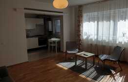 Apartament de vanzare in spate la Vivo, 2 camere!