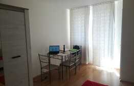 Garsoniera, 32 mp, zona Iulius Mall, recent renovata