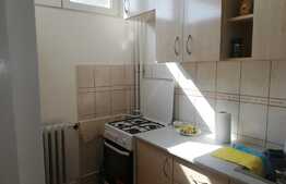 Garsoniera, 32 mp, zona Iulius Mall, recent renovata