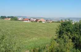 Spatiu birouri, 160 mp, 20 mp spatiu verde, cartier Andrei Muresanu