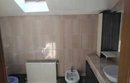 Spatiu birouri, 160 mp, 20 mp spatiu verde, cartier Andrei Muresanu