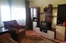 Apartament 2 camere, 43mp, semidecomandat, petfriendly, zona BIG