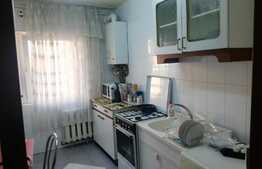 Apartament 2 camere, 43mp, semidecomandat, petfriendly, zona BIG