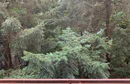 Apartament 3 camere decomandate, 87mp, zona strazii Plopilor