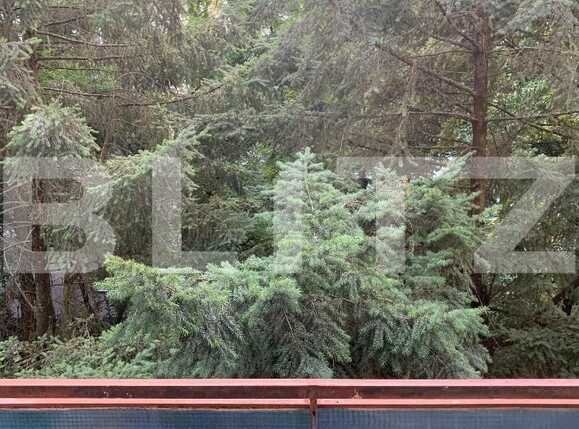 Apartament de închiriat 3 camere Plopilor - 40757AI | BLITZ Cluj-Napoca | Poza12