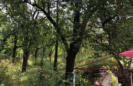 Casa de vanzare in sat Gheorgheni, 60 mp utili cu teren de 1000 mp!