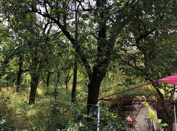 Casa de vânzare 2 camere Exterior Sud - 40770CV | BLITZ Cluj-Napoca | Poza4