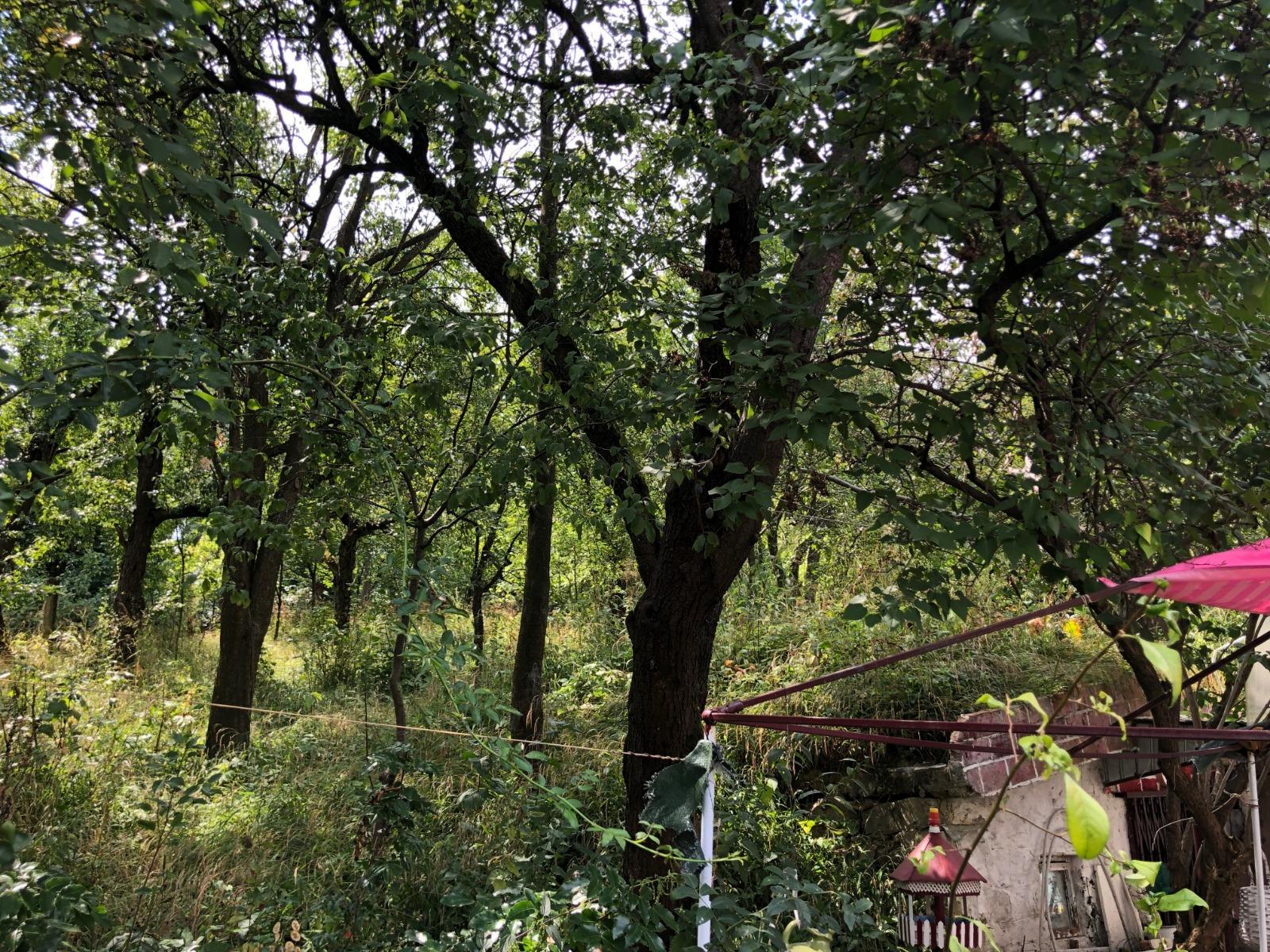 Casa de vânzare 2 camere Exterior Sud - 40770CV | BLITZ Cluj-Napoca | Poza4