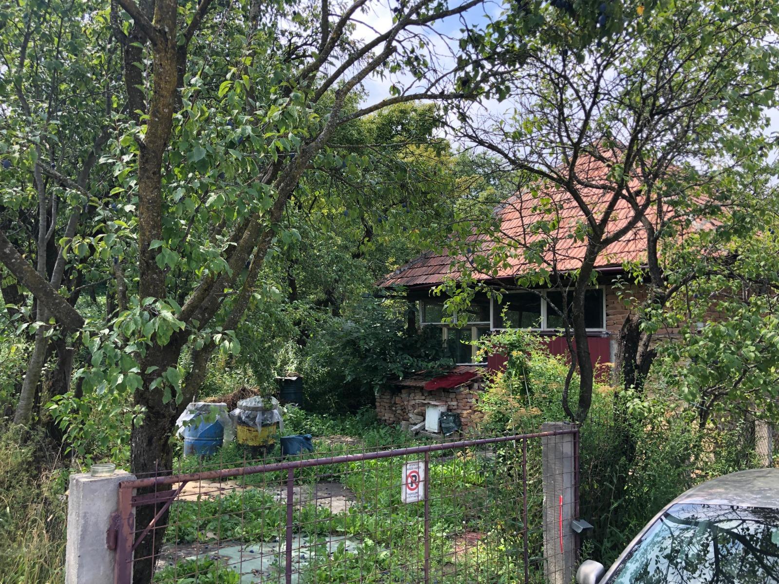 Casa de vânzare 2 camere Exterior Sud - 40770CV | BLITZ Cluj-Napoca | Poza2