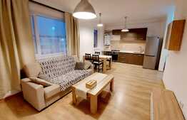 Apartament modern, 2 camere, zona strazii Stadionului!