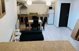 Garsoniera tip studio, 42mp, loc parcare, WIFI + TV inclus, mansarda, zona VIVO!