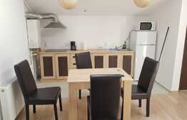 Garsoniera tip studio, 42mp, loc parcare, WIFI + TV inclus, mansarda, zona VIVO!