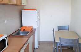 Apartament 1 camera, 42 mp, imobil nou, zona USAMV