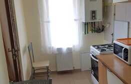 Apartament 1 camera, 42 mp, imobil nou, zona USAMV