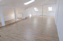 Proprietate in zona semicentrala cu preluare de chiriasi ! Oportunitate ! 