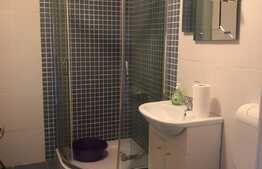 Garsoniera de vanzare, 31 mp, mobilata, etaj intermediar, parcare, zona Eroilor! 