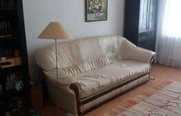 Apartament 2 camere, decomandat, 55mp, zona Stejarului