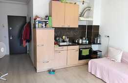 De vânzare 2 camere, 40 mp, terasa 73 mp, parcare, zona strazii Oasului