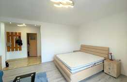 Apartament 1 camera, decomandat, 36mp, zona strazii Viilor