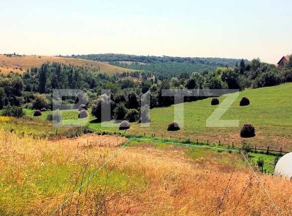 Casa de vânzare 5 camere Exterior Sud - 40931CV | BLITZ Cluj-Napoca | Poza10