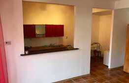 Apartament 1 camera, zona strazii Profesor Ioan Rus!