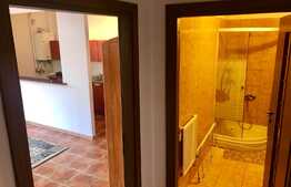 Apartament 1 camera, zona strazii Profesor Ioan Rus!