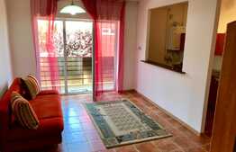Apartament 1 camera, zona strazii Profesor Ioan Rus!