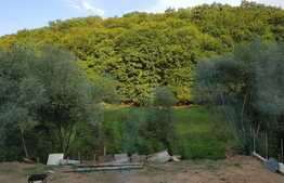 Duplex de vanzare, proiect canadian, 210 mp, 360 teren , zona Tauti