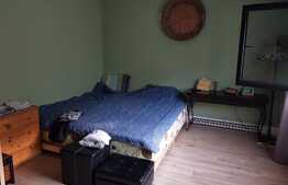 Duplex de vanzare, proiect canadian, 210 mp, 360 teren , zona Tauti