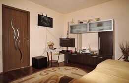 Apartament 2 camere, 30 mp, zona strazii Alverna